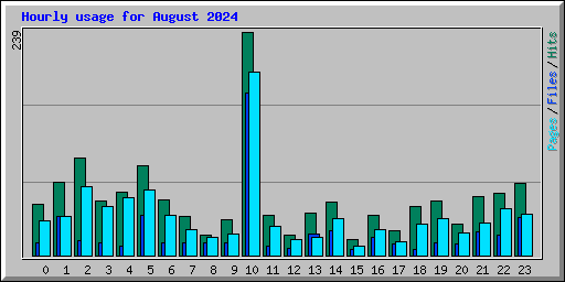 Hourly usage for August 2024