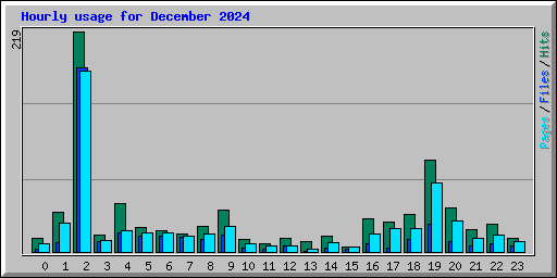 Hourly usage for December 2024